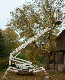 Baumdienst 1